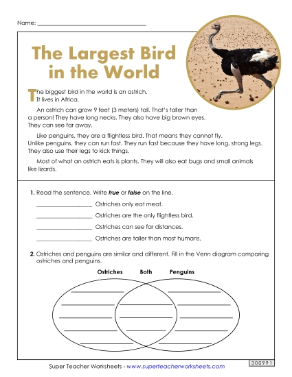 Short Passages - The Largest Bird in the World (Short, Nonfiction) Short Passages - The Largest Bird in the World (Short, Nonfiction)