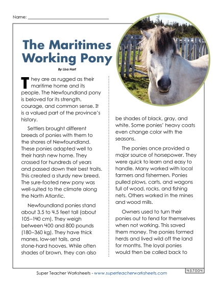 Reading Comprehension - The Maritimes Working Pony