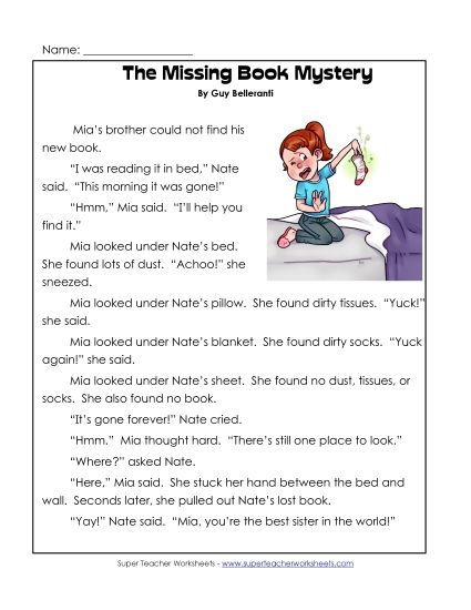 The Missing Book Mystery The Missing Book Mystery
