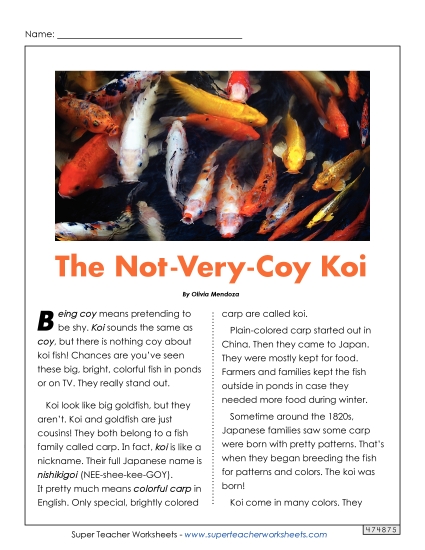 Reading Comprehension - The Not-Very-Coy Koi (Full Article) Reading Comprehension - The Not-Very-Coy Koi (Full Article)