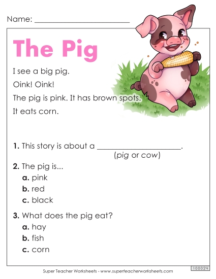Passages with Basic Reading Comprehension Questions - The Pig