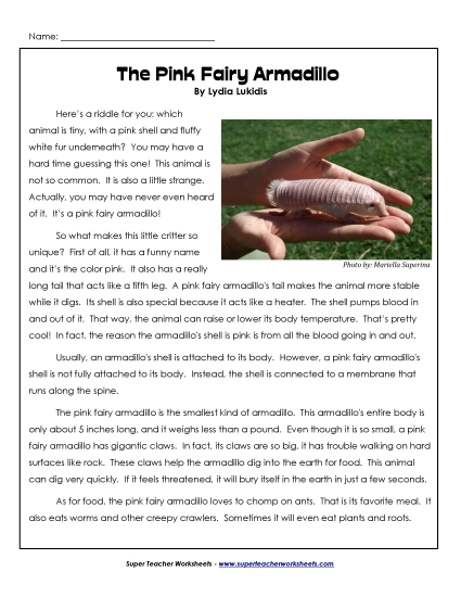 Nonfiction Articles - The Pink Fairy Armadillo Nonfiction Articles - The Pink Fairy Armadillo