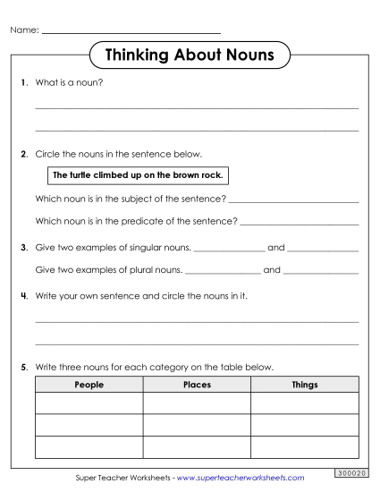 Mixed Noun Skills - Thinking About Nouns