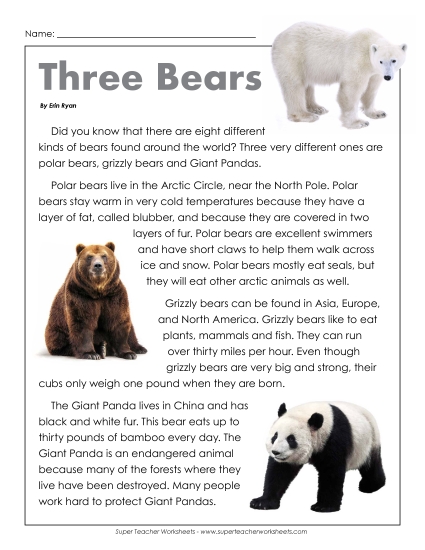 Nonfiction Articles - Three Types of Bears Nonfiction Articles - Three Types of Bears