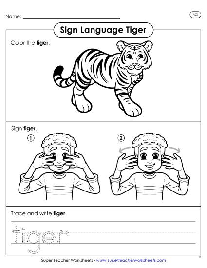 Animals - Tiger (Printable PDF Worksheet)