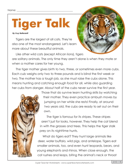 Mammals - Tigers