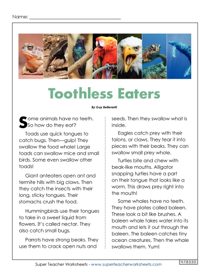 Animal Topics - Toothless Eaters
