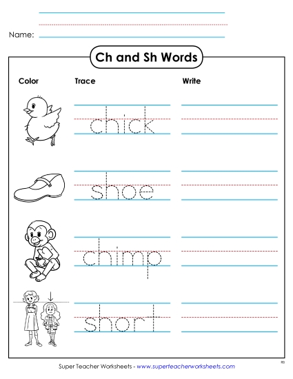 Trace and Write