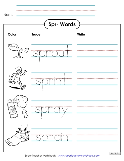 Worksheets - Trace and Write (Spr- Words)