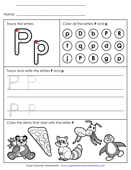 Letter P: Mixed Skills - Tracing, Writing, and Recognizing Letter P