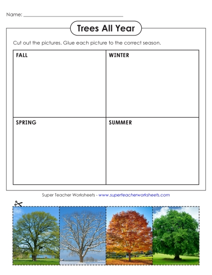 Cut & Paste Activities - Trees All Year (Printable PDF Worksheet)