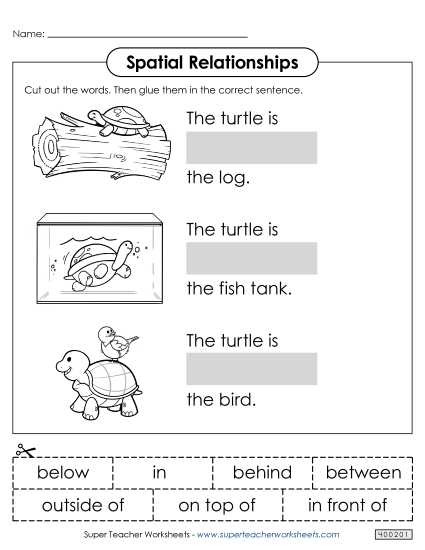 Cut & Glue Activities - Turtle Cut & Glue