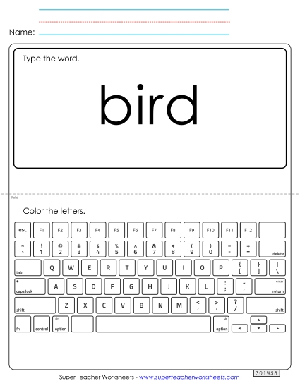Type the Word: Bird