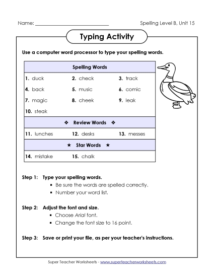 Worksheets - Typing Activity (B-15)