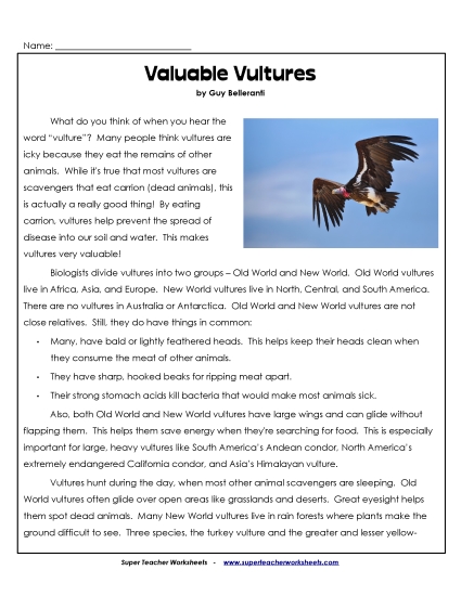 Birds - Valuable Vultures Birds - Valuable Vultures