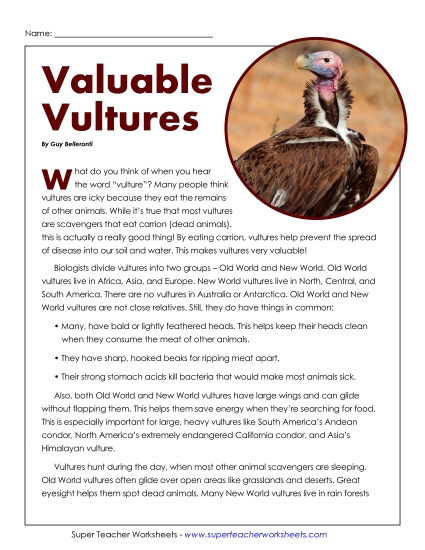 Birds - Valuable Vultures Activity