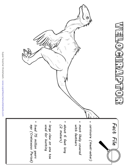 Dino Fact Files - Velociraptor Fact File Dino Fact Files - Velociraptor Fact File