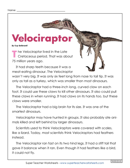 Reading Comprehension - Velociraptor