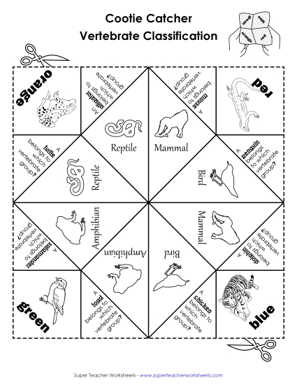 Foldables - Vertebrate Classifications: Foldable Fortune Teller