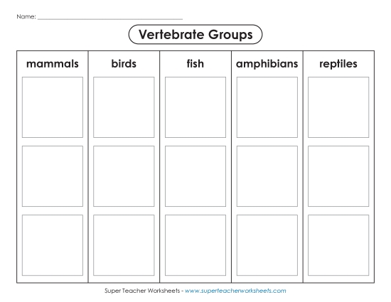 Vertebrate Classification - Vertebrate: Cut, Sort, & Glue Vertebrate Classification - Vertebrate: Cut, Sort, & Glue
