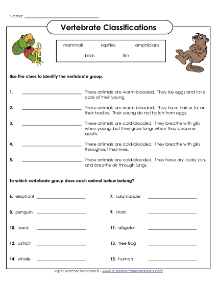 Vertebrate Classification - Vertebrate Questions