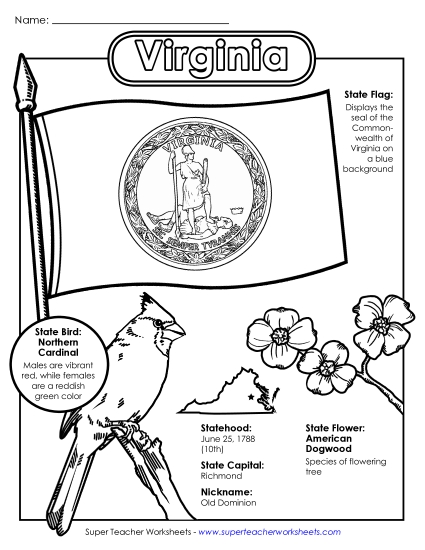 Symbols - Virginia State Symbols Coloring Page