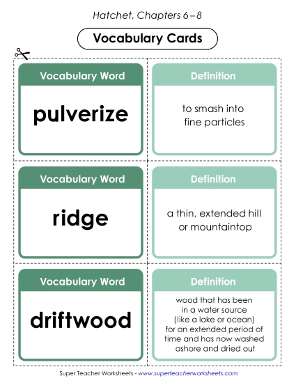 Chapters 6–8 - Vocabulary Cards (Chapters 6–8) (Printable PDF Worksheet)