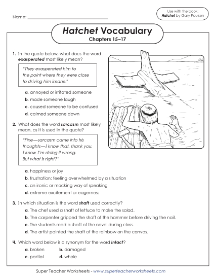 Chapters 15–17 - Vocabulary Questions: Chapters 15–17 (Printable PDF Worksheet)