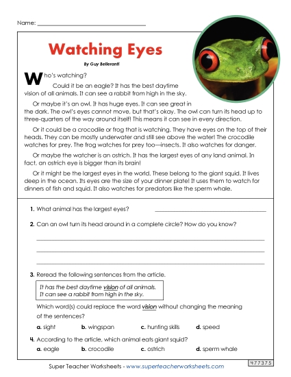 Animals - Watching Eyes Animals - Watching Eyes