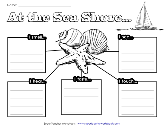 Graphic Organizers - Web: Sensory Seashore Graphic Organizers - Web: Sensory Seashore