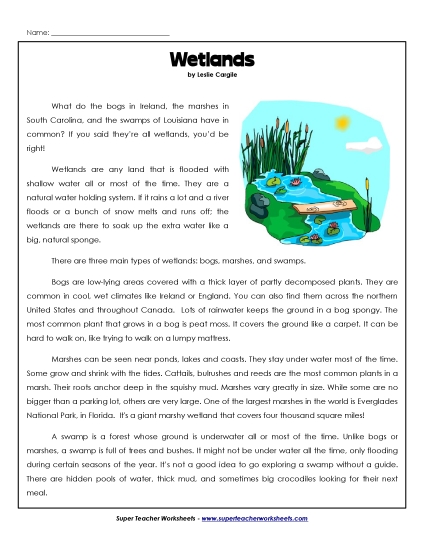 Nonfiction Articles - Wetlands (Article)