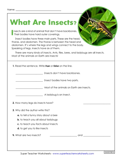 Short Passages - What Are Insects? (Short, Nonfiction) Short Passages - What Are Insects? (Short, Nonfiction)