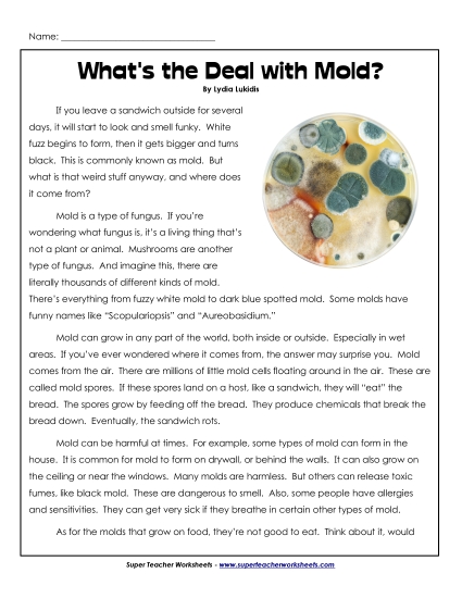 Nonfiction Articles - What's the Deal with Mold? 
