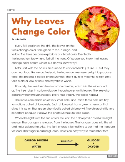 Reading Comprehension - Why Leaves Change Color (Article) Reading Comprehension - Why Leaves Change Color (Article)