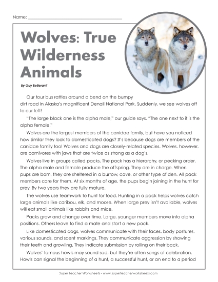Mammals - Wolves