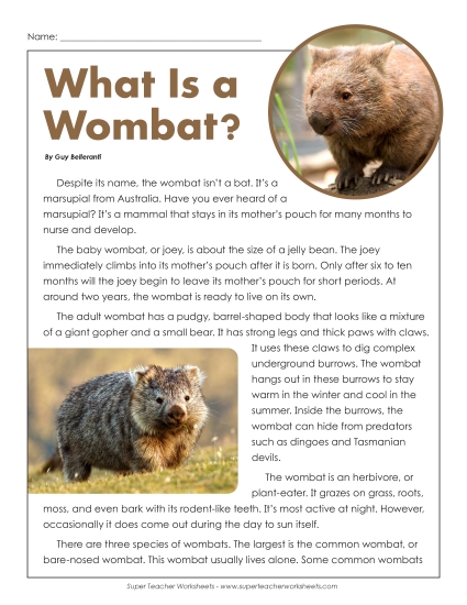 Nonfiction Articles  - Wombat
