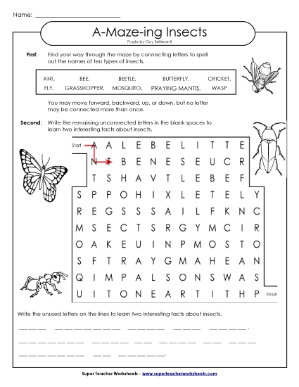 Word-Maze Puzzle: Insects