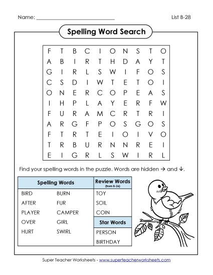 Worksheets - Word Search (B-28)