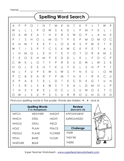 Printable Worksheets - Word Search (E-16)