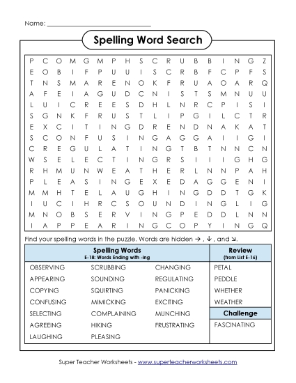 Printable Worksheets - Word Search (E-18)