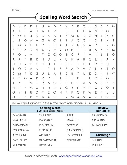 Printable Worksheets - Word Search (E-20)