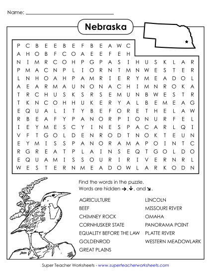 Puzzles - Word Search