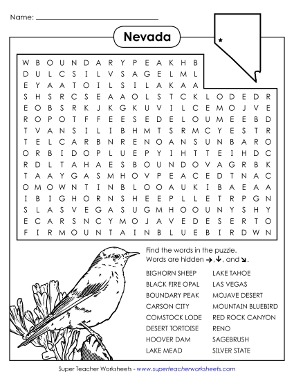 Puzzles - Word Search Puzzle