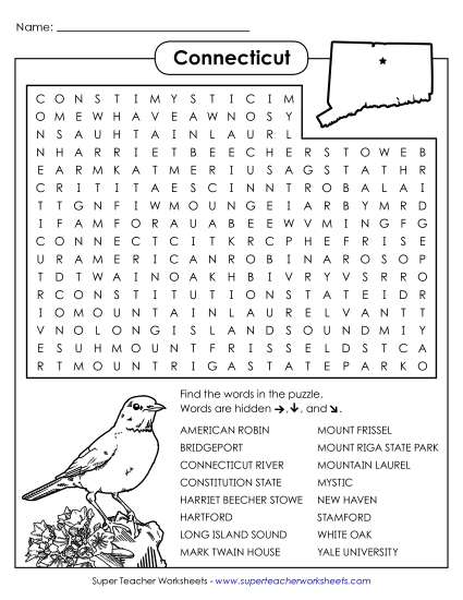 Puzzles - Word Search Puzzle