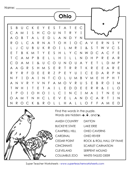 Puzzles - Word Search Puzzle