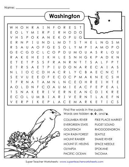 Puzzles - Word Search Puzzle