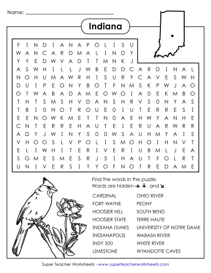 Puzzles - Word Search Puzzle