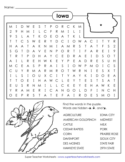 Puzzles - Word Search Puzzle