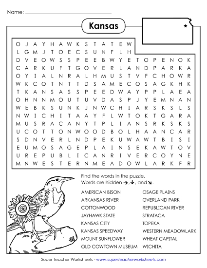 Puzzles - Word Search Puzzle