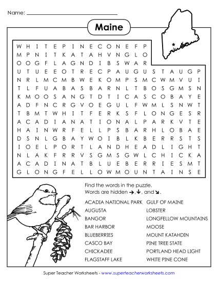 Puzzles - Word Search Puzzle